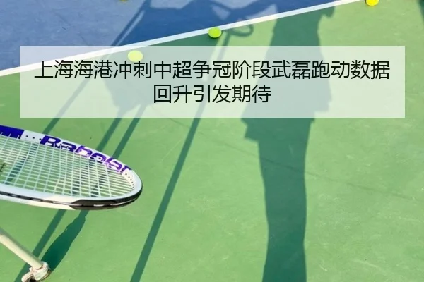 上海海港冲刺中超争冠阶段武磊跑动数据回升引发期待